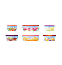 Leftover Plastic Lunch Food Containers Storage