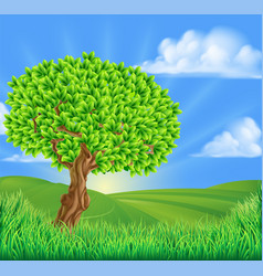 Tree Rolling Hills Landscape Background