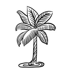 Hand Drawn Of Palm Tree