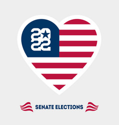 Poster For Senate Election With The Us Flag