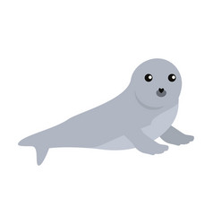 Cartoon seal isolated on white background Vector Image