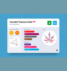 Ui Cannabis Terpene Guide Information Chart Aroma