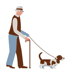 Old Man Walking A Dog Senior With Basset Hound