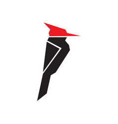 Bird Woodpecker Icon Logo