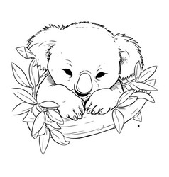 Koala Bear Cartoon Design Animal Cute Zoo Life