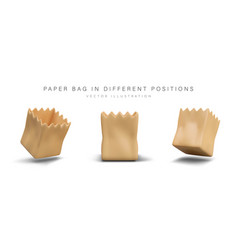 Open Eco Paper Bag In Different Positions For Food