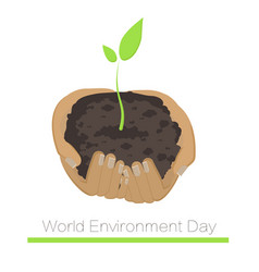 World Environment Day Handful Of Soil Whit Plant