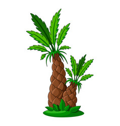 Date Palm Exotic Tree With Green Frond Leaves