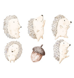 Watercolor Set Of Adorable Hedgehog For Your