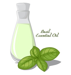 Basil Essential Oil