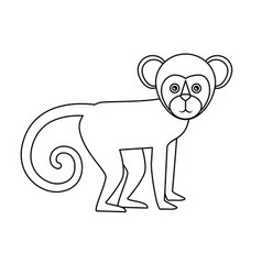 Brazilian Monkey Isolated Icon