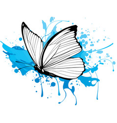 Morpho Butterfly On Colored Background