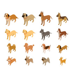 Various Dog Breeds Isometric Set