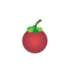 Mangosteen Fruit Icon