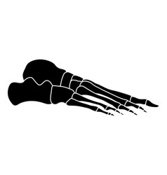 Skeleton Human Foot Silhouette Body Bones - Side