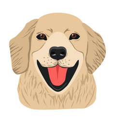 Cute Labrador Retriever On White Background