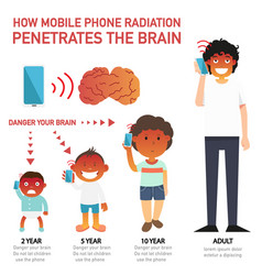 How Mobile Phone Radiation Penetrates Brain