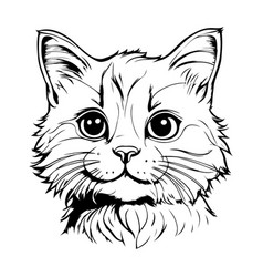 Portrait Of A Cat On White Background