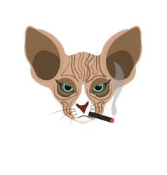 Sphynx Hairless Cat Face With Cigarette Isolated