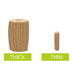 Antonyms Concept Thick And Thin Card