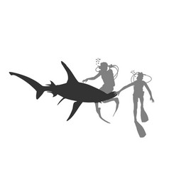 Divers Observing Great Hammerhead Shark Silhouette