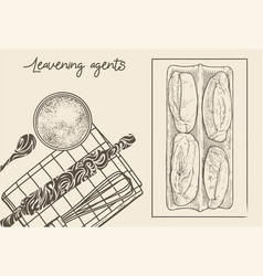 Leavening Agent Hand-drawn