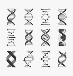 Dna Helix Cell Gene Structure Bioinformatics