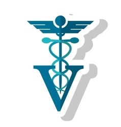 Isolated Caduceus And Vet Design