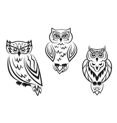 Black And White Owl Bird Tatoos