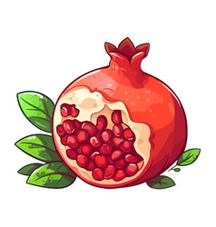 Juicy Pomegranate Slice Fresh