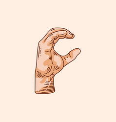 C Letter Logo In A Deaf-mute Hand Gesture Alphabet