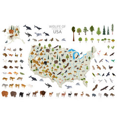 Isometric 3d Usa Wildlife Animals Birds