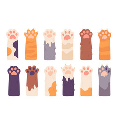 Cats Palms Cat Paws With Claws Cartoon Pets Paws