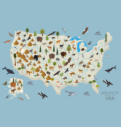 Isometric 3d Usa Wildlife Animals Birds