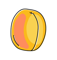 Apricot Ripe Fruit Color Icon