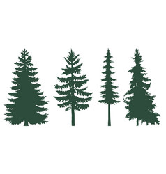 Coniferous Trees Set