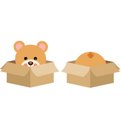 Cute Teddy Bear In Cardboard Box