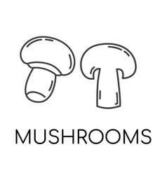 Mushrooms Vegetable Line Icons