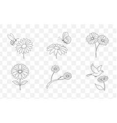 Print Gerbera Flower Line Art Set