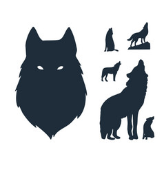 Silhouettes Of A Wild Wolf