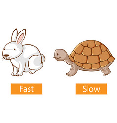 Opposite adjectives words with fast and slow Vector Image