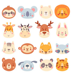 Cute Animal Faces Color Animal Portraits Cuteness