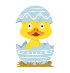 Cute Duck In Egg Easter