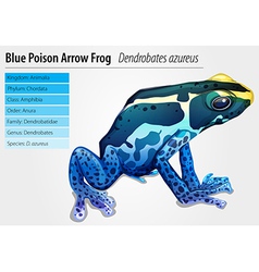 Poison Dart Frog