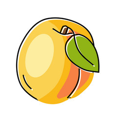 Leaf Apricot Fruit Color Icon