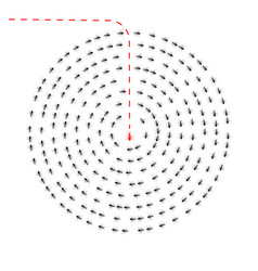 Ants Marching One Ant Changing Direction