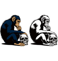 A Pensive Monkey Sits Near Human Skull