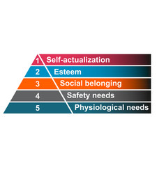 Maslow Pyramid Hierarchy Of Needs Motivation