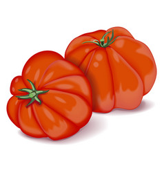 Beefsteak Tomato