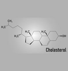 Cholesterol Molecule Skeletal Formula